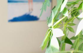 Oasis de Caudéran - Foto 67