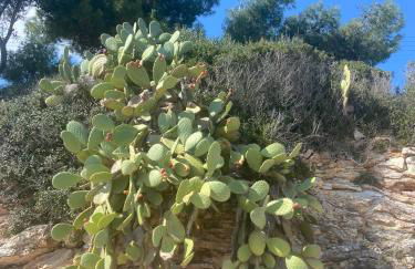 Villa Delfini - Foto 49