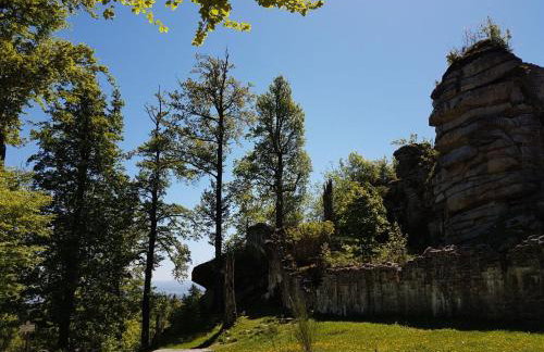 Gästehaus Aurelia - Foto 40