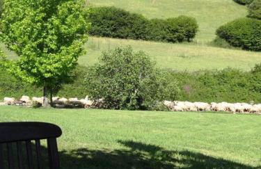 Ferme uhartea - Foto 19