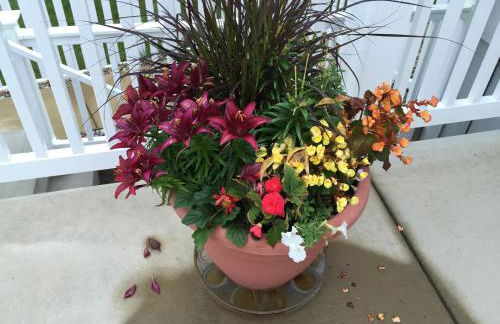 Fenton Oasis - Foto 35