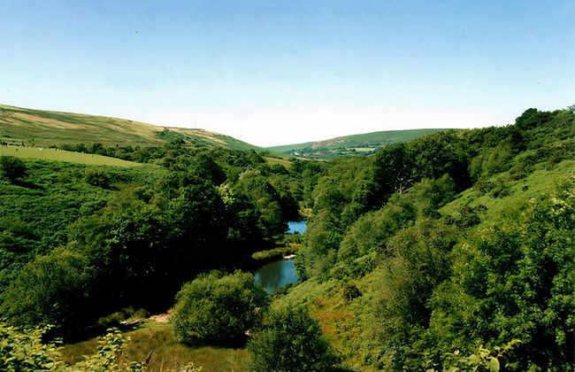 Snow White's House - Farm Park Stay with Hot Tub, BBQ & Fire Pit - Foto 18