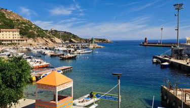 Orchidea del mar - Foto 1