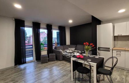 Apartamenty Parkowe nr 7 - Foto 4