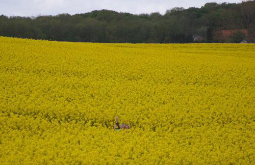Bungalows Ostseequelle - Foto 17