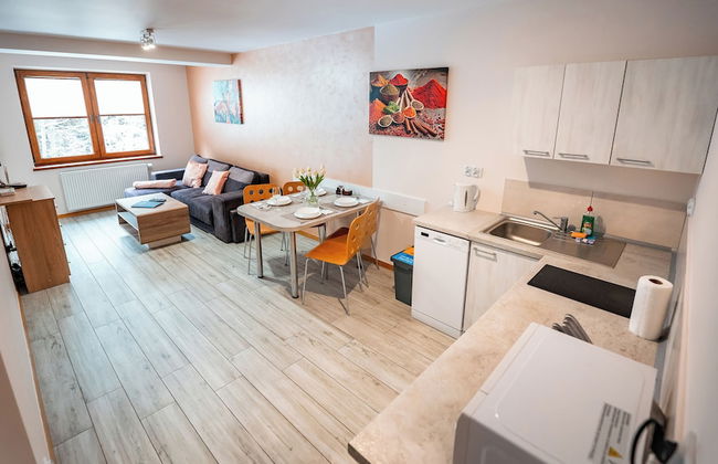 Apartamenty Sun & Snow Zielony Las - Foto 46