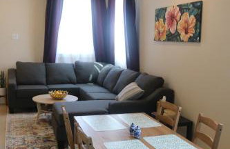 Modern New Build Home 5 min from downtown - Foto 8