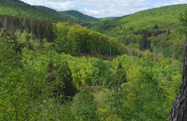 Wohnung in Frankenberg fur Radfahrer - Photo 37