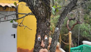 Villa Rita - Photo 4