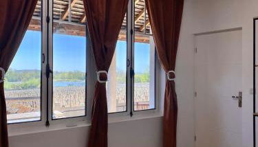 L'Espérance vue sur la vigne et la Loire - Foto 1