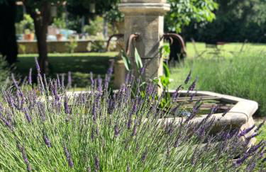 Mas de la Sacristière - Photo 19