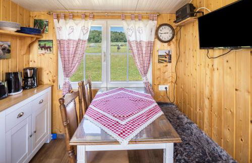 Tinyhouse Alpakawiese - Foto 7