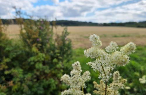 The Pod Quiet Sun Patio Fab Steam &Countryside Views - Photo 31