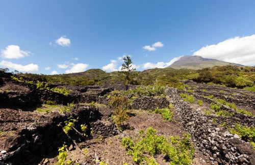 Cantinho do Sossego - Photo 19
