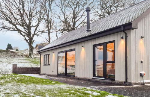 Root - Uk47733 - Foto 9