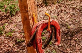 The Tree House - Foto 31