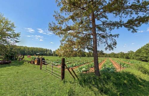 Tiny Home in Town-Hot Tub - Privacy Fence - Fire Pit - Kids Play Area & 15 minutes to the Bogue Chitto State Park - Foto 18