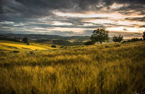 CASA LELLA Monte San Pietrangeli - Foto 18