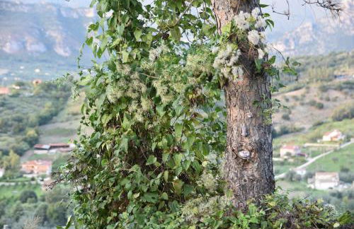 Rigoletto Cilento with private garden and pool - Foto 38