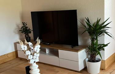 Große gemütliche Ferienwohnung in Schwarzwaldhof - Foto 2