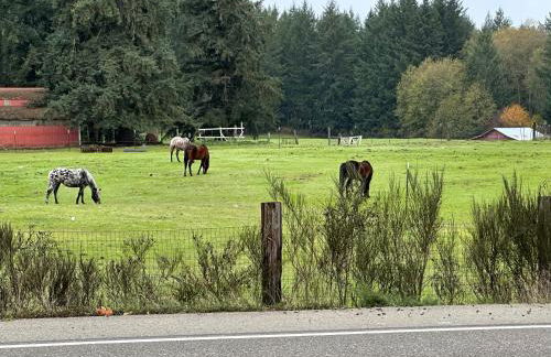 Hobby farm with goats and views of horses - Foto 7