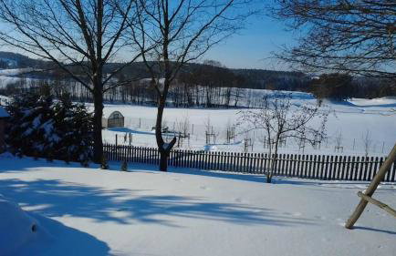 Agroturystyka Jałowo Wiejski Dom - Foto 24