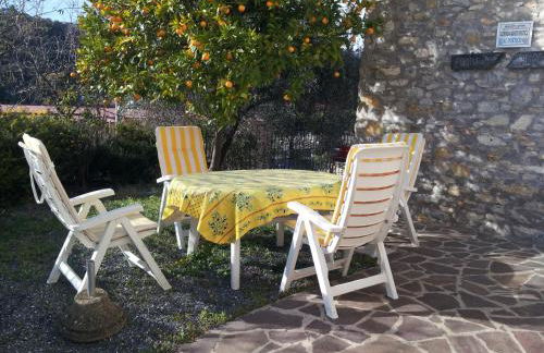 Alloggio Ulivo - Foto 8