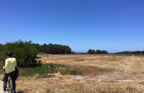 Casinha da Cabra, Casas do Poente, Rogil, Aljezur - Photo 39