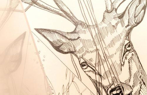 Grimmwald Tiny House - Photo 6