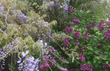 The Hideaway at Duffryn Mawr Self Catering Cottages - Photo 9