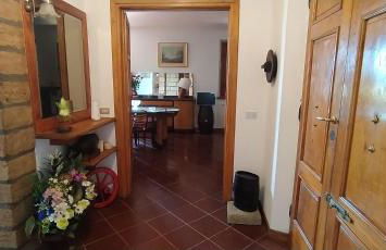 Casolare L'Antico Olivo - Foto 20