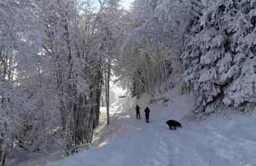 Le cocon du Bettex 1400 - Cozy Apt near Mont Blanc - Photo 11