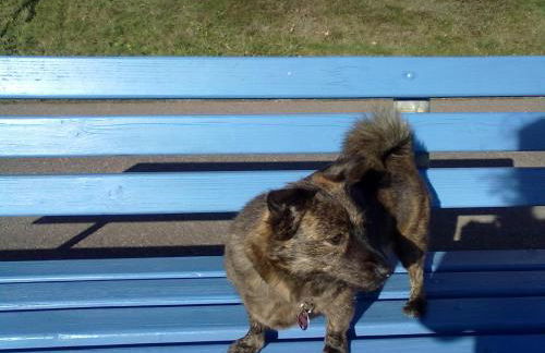 Haus Stefanie - Foto 60