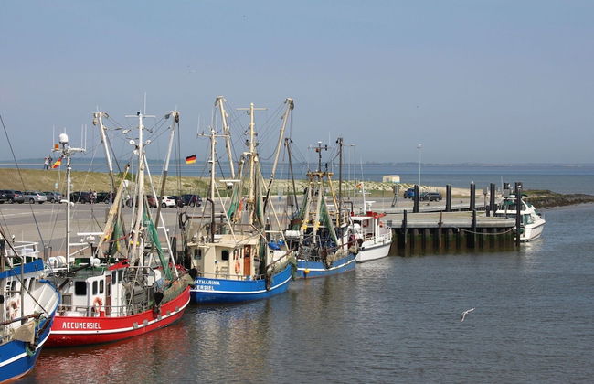 Ferienwohnung, Dornumersiel - Foto 13