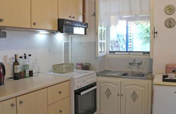 Little Blue - Photo 7