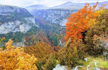 Casa Pirinea Ordesa - Foto 12