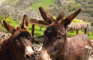 B&B I Montanari - Foto 56