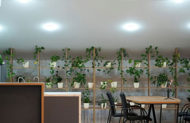 Aisha Hotel - Foto 16