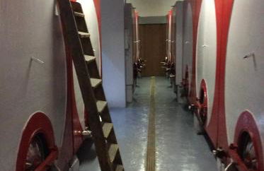 Agriturismo Cà del Nono - Foto 99