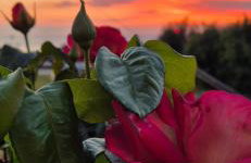 VM Cozy Home - Kokkari Center - Foto 8