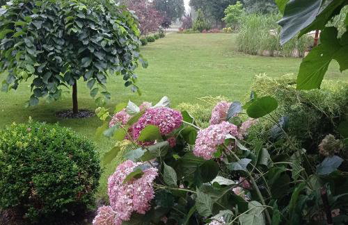 Siedlisko Gruszki Puszcza Białowieska - Foto 51