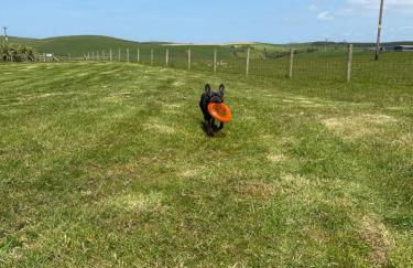Ardbeg 4 - Farm Stay with Sea Views across to Northern Ireland - Foto 26