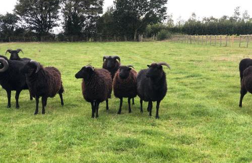 Giffords Hall Garden Room - Foto 9