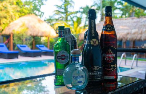 Villa Tropical - Your private Miami Resort with a heated pool - Foto 17