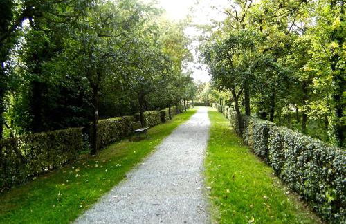 Die Gönothek - Ferienwohnungen - Foto 4