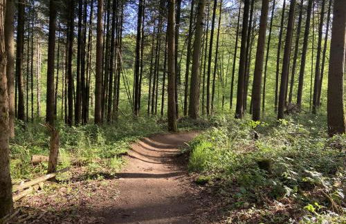 Rauszeit-Tiny Waldblick - Foto 36