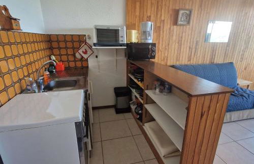 Studio Chaleureux 4 Pers avec Terrasse - Saint-Michel-de-Chaillol - FR-1-393-52 - Foto 7