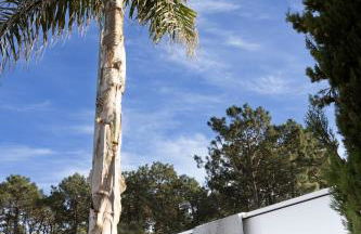 Meirinha House - Foto 22