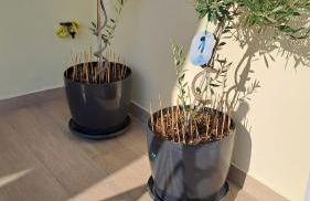 K & L Luxury Suite - Foto 44