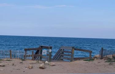 Ormond Beach, fun & loving sun! - Photo 13